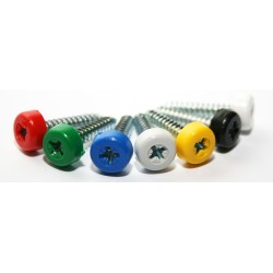 Blue Poly Top Screws (Pack 12)